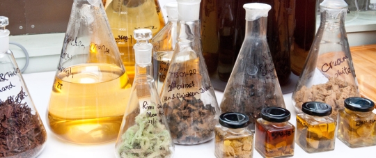 Natural on sale products chemistry