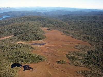 Kaipo bog