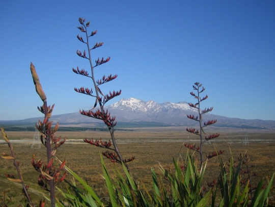 Mt Ruapehu