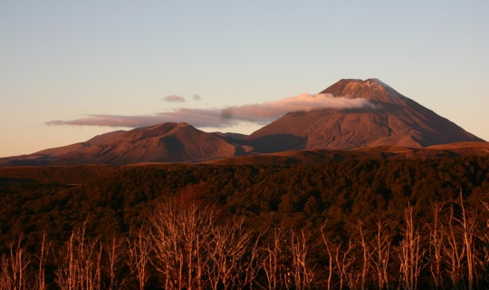 An image of volcanoes beyond a forest – Mt Ngauruhoe