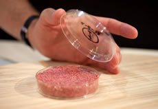 Steak grown from stem cells in the laboratory
