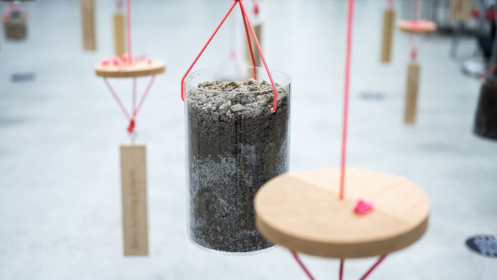 hanging soil in clear container from pink rope with timber hanging stops in the background 