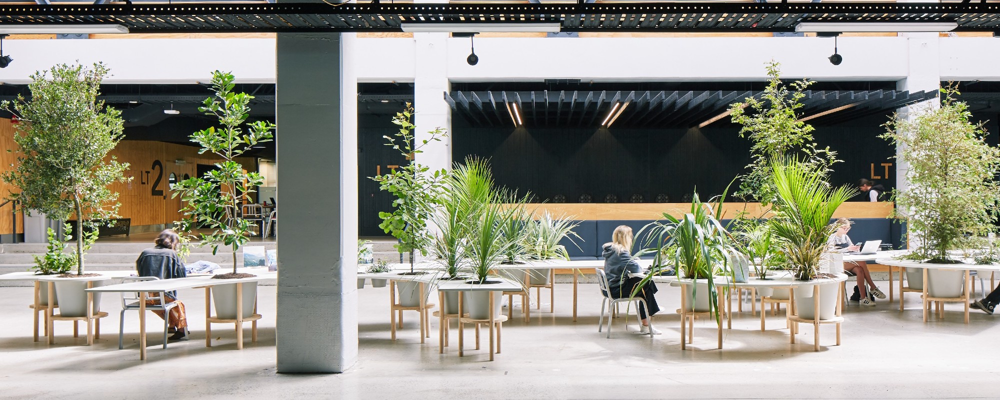 Wide-angle shot of well lit modern atrium with plants and students